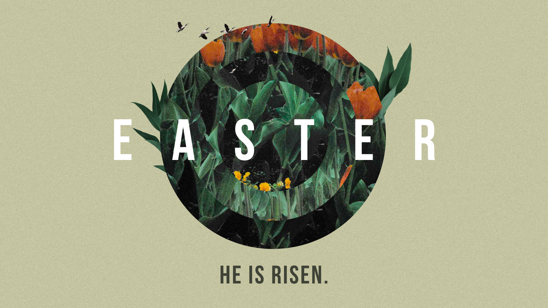 4/5/26 - Easter Sunday - Matthew 28:1-15